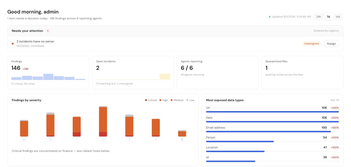DataAnonymiser enterprise overview showing findings, endpoint coverage and data categories.